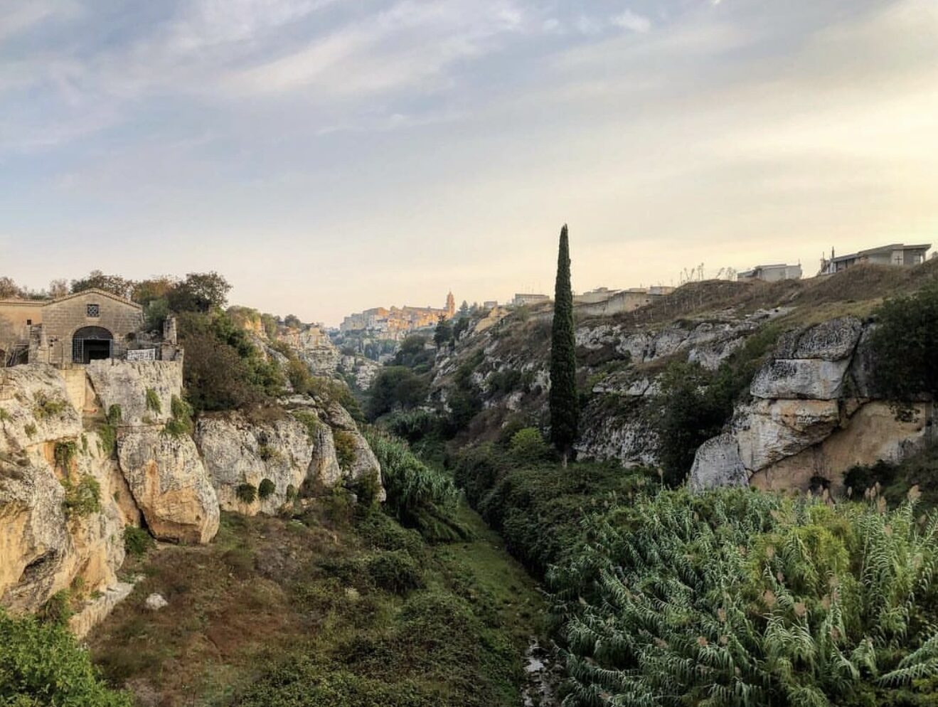 Un cipresso sul bordo della gravina
