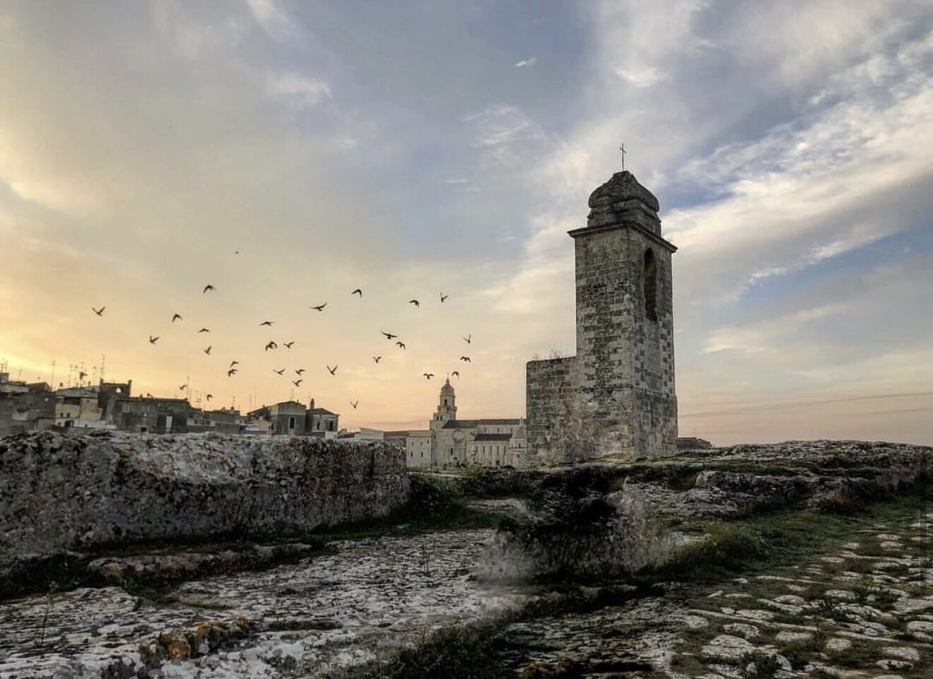 Stormo di uccelli attorno a una torre di Gravina al tramonto